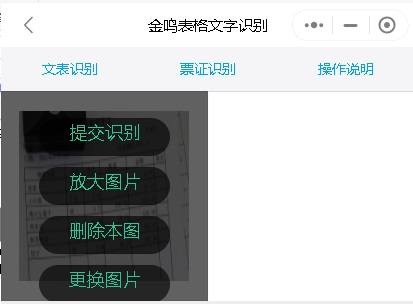 金鸣表格文字识别系统图片