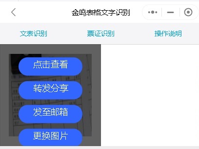 金鸣表格文字识别系统图片